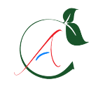 Axe Capital Investment Ltd